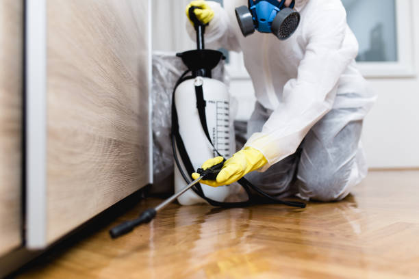 Best Affordable Pest Control Services  in Montecito, CA