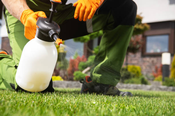 Best Exterminator Services  in Montecito, CA