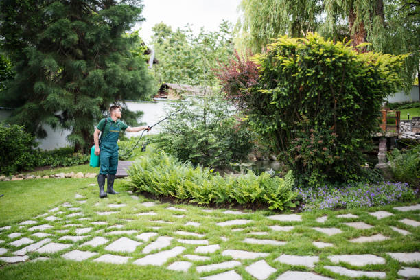Reliable Montecito, CA Pest Control Solutions