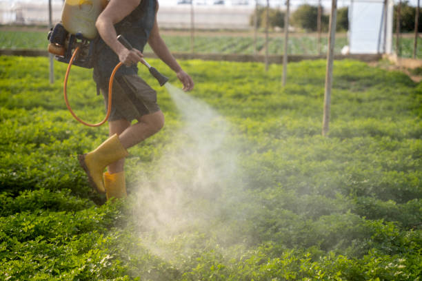 Best Pest Control for Restaurants  in Montecito, CA