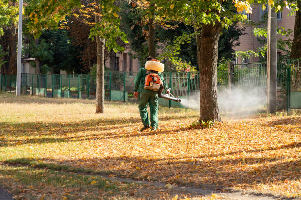 Best Cockroach Control Services  in Montecito, CA